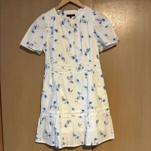 Quince Organic Cotton Poplin Tiered Mini Dress